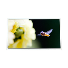 P320HVN04.6 32.0 inch 1920*1080 LVDS LCD screen LCD Monitor