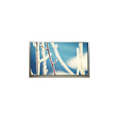PT430GT01-1 43.0 inch 3840*2160 96 pins LCD screen Panel
