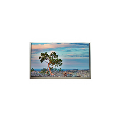 SN245CT01-1 24.5 inch 1920*1080 3500:1 LCD Display Screen