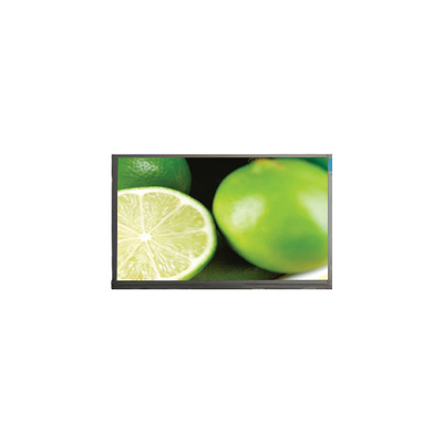 P060DDZ-ZZ1 6.0 inch 800*1280 LCD Screen with Mobile Phone