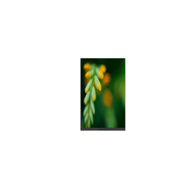 P080DCE-3F0 800*1280 8.0 inch LCD Screen with Pad Tablet