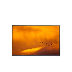 M201SP01 V2 20.1 inch 1680*1050 LCD Screen Display
