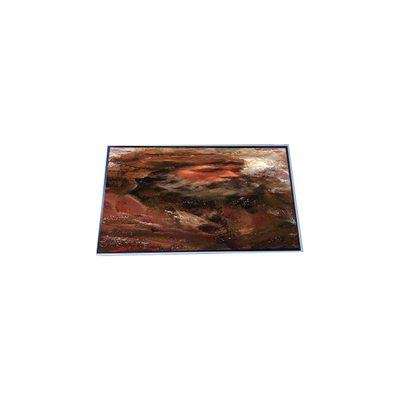N104STN01.0 10.4 inch 800*600 tft LCD Display Screen