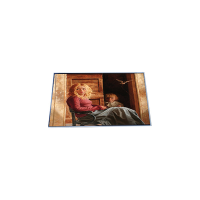 N156HAN01.0 15.6 inch 1920*1080 LCD Display Screen