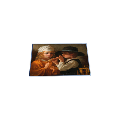 P157RAN02.0 15.7 inch 960*960 TFT LCD Panel Display