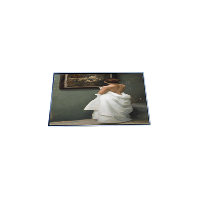 P215HAN02.0 21.5 inch 1080p LCD Panel Display