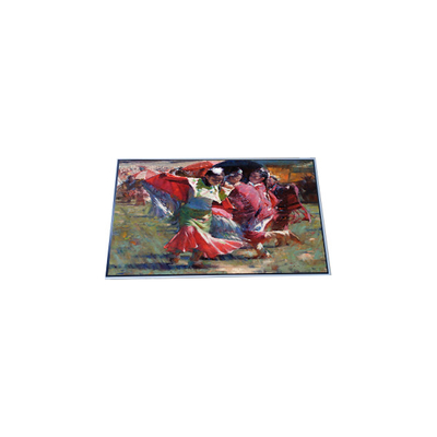 P281SVN01.0 28.1 inch LCD Screen Module 800*800 LCD Panel Display
