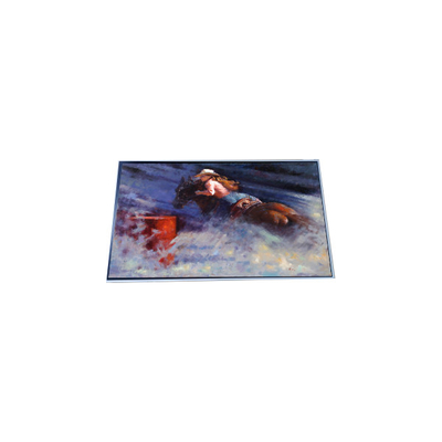 P286IVN01.1 28.6 inch 1920*540 LCD Screen Module