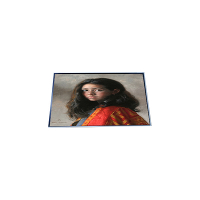 P286IVN03.0 LCD Module 28.6 inch LCD display