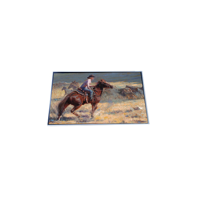 P294IVN01.1 29.4 inch 1920*720 LCD Screen panel