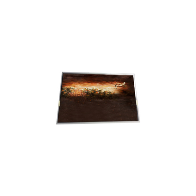 P0700WSF2MB00 7.0 inch 1024*600 LCD Display Screen for Industrial