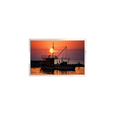 WF101JSYJHLNB0# 10.1 inch 1024*600 LCD Display Screen