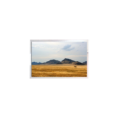TFT7D0906-A LCD Screen Display 6.3 inch LCD Module Panel