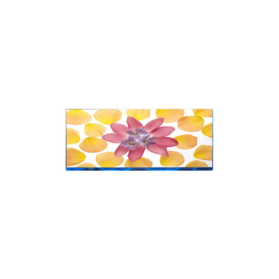 E102AWF6 R1 10.2 inch 1920*532 LCD Screen Display