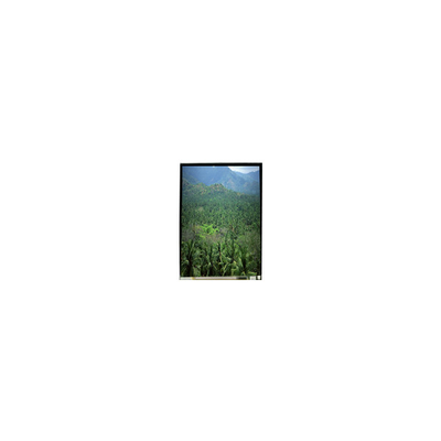 LS055B3SX04Z 5.5 inch 1920*3664 TFT LCD Screen Panel