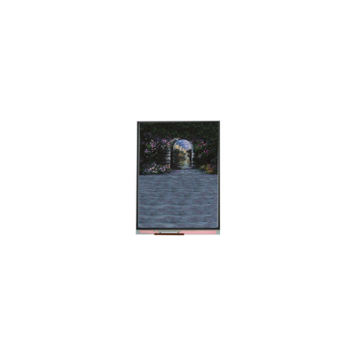 7.0 inch LCD screen panel 720*1640 LCD Module U070SWRB-0