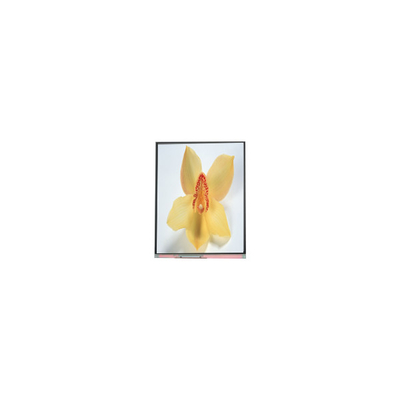 C050SWAN-0 5.0 inch 720*1280 LCD Screen panel