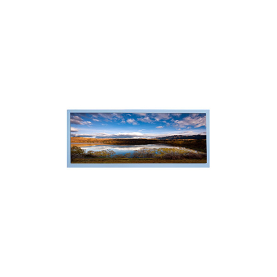 M102AWF2 R3 10.3 inch LCD screen TFT LCD panel For Automotive Display