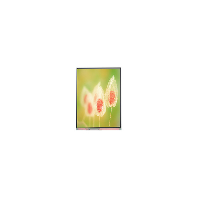 C068SWR5-0 6.8 inch lcd screen panel 720*1600 lcd display module