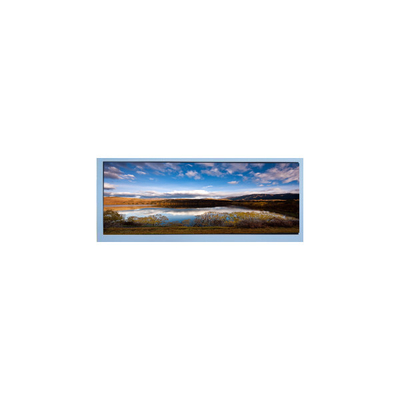 M102AWF2 R2 10.3 inch 1920*720 LCD Screen Display Panel