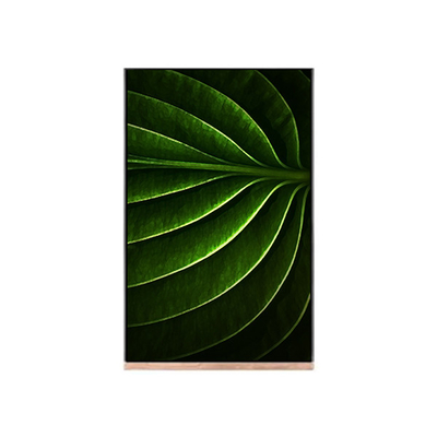 LCD Screen 10.1 inch for  NV101WUM-N53 lcd module