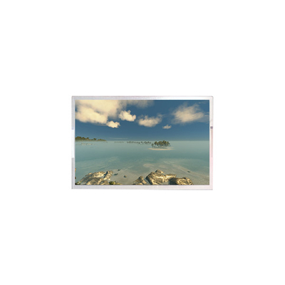 10.1 Inch 1920*1080 LCD Monitor Screen AV101FHT-T10-28P0 