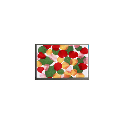 E080AWAA R1 8.0 inch lcd panel for Automotive Display