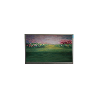 LCD screen For 13.3 inch R133NWF4 RB LCD Module
