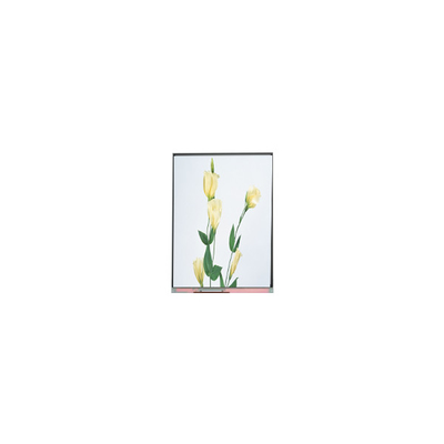 C059SWR1-0 5.9 inch  LCD Screen Display Panel for Mobile Phone