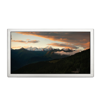 in Stock H666TAX01.0 6.7 inch LCD Display Screen