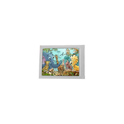 F055A25-403 5.5 inch lcd screen panel 720*1440 LCD screen display