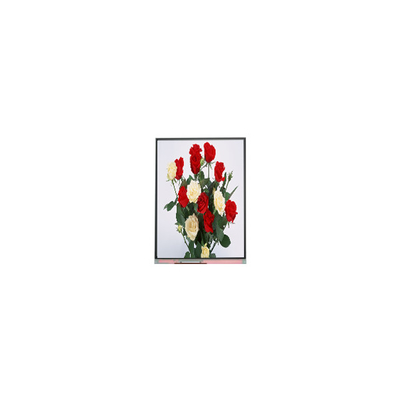 720*1480 LCD Screen Display Panel 6.3 Inch C063SWR1-0