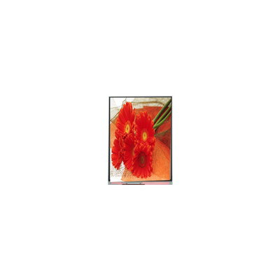 5.5 inch C055SWY9-0 LCD SCREEN for Mobile Phone