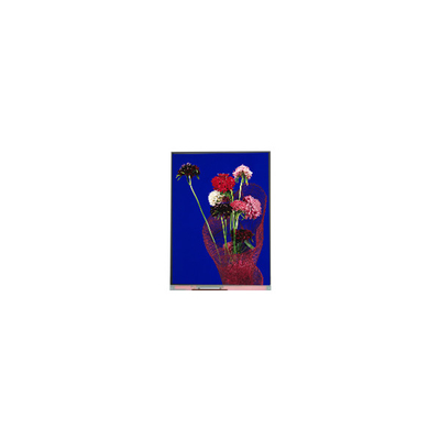 5.4 inch C054SWR6-0 540*1132 LCD SCREEN for phone