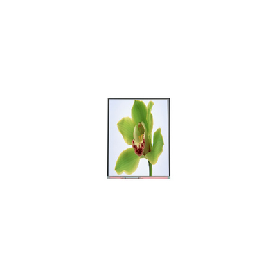 5.0 inch TFT LCD screen 480*854 C050SWYG-3