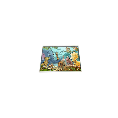 LPM060A513A 6.0 inch LCD Screen Display Panel For Mobile Phone