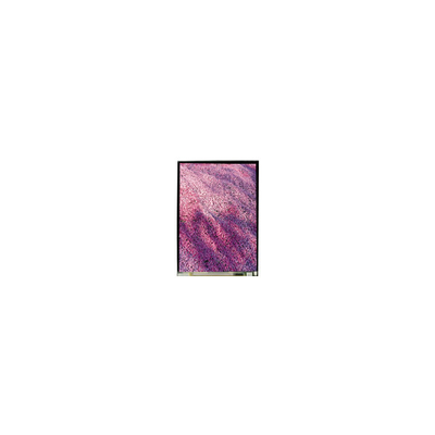 5.2 INCH LS052T3SX15 1080*1920 LCD SCREEN Display