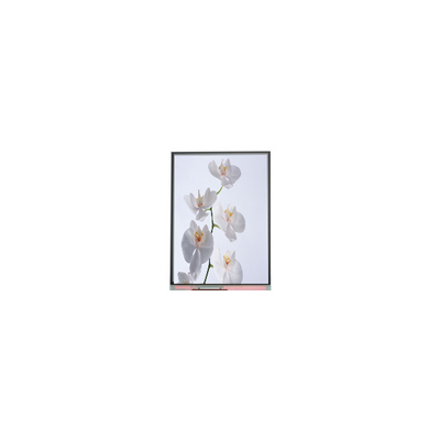 C060SWR6-1 6.0 inch 720*1528 LCD Screen Panel