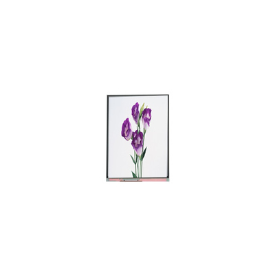 C057SWR1-1 5.7 inch 720*1440 LCD Screen Panel For Phone