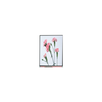 C060SWA3-3 6.0 inch 720*1280 LCD Screen Display For Phone