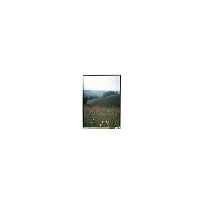 5.5 Inch LS055B1SX01B LCD Panel with Touch For Mobile Phone