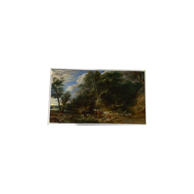 LTM340YP03-Q04 34.0 inch 3440*1440 TFT-LCD Screen Display