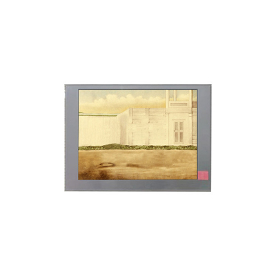 TM060JDZG01 6.0 inch LCD Display Panels for Handheld and PDA