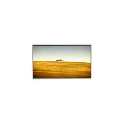 Hot Sell 10.1 inch TT101WSQ-N10 1024*600 LCD Display Screen FOR Netbook PC