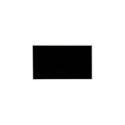 Hot Sell 10.1 inch TT101WSQ-N10 1024*600 LCD Display Screen FOR Netbook PC