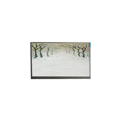 R125NWR3 R3 12.5 inch lcd module 1366*768 lcd display screen
