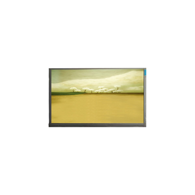 21.5 Inch M215HJK-L3B LCD Screen Panel 1920*1080 LCD Display