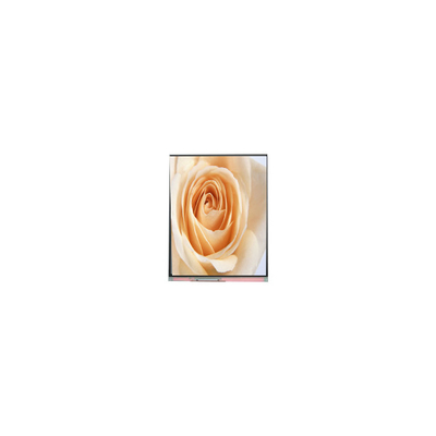 C050SWAF-0 5.0 inch 720*1280 LCD Screen Panel