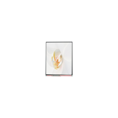 C050SWYD-2 5.0 inch 480*854 LCD Screen Display