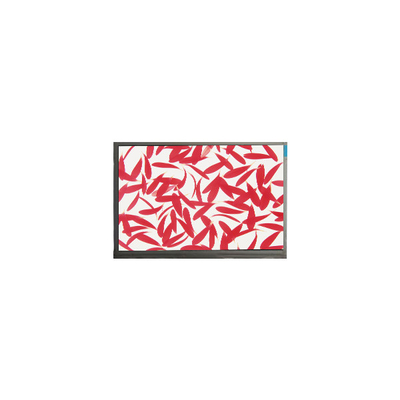 C116NWR5-0 11.6 inch 1366*768 TFT LCD Screen Display